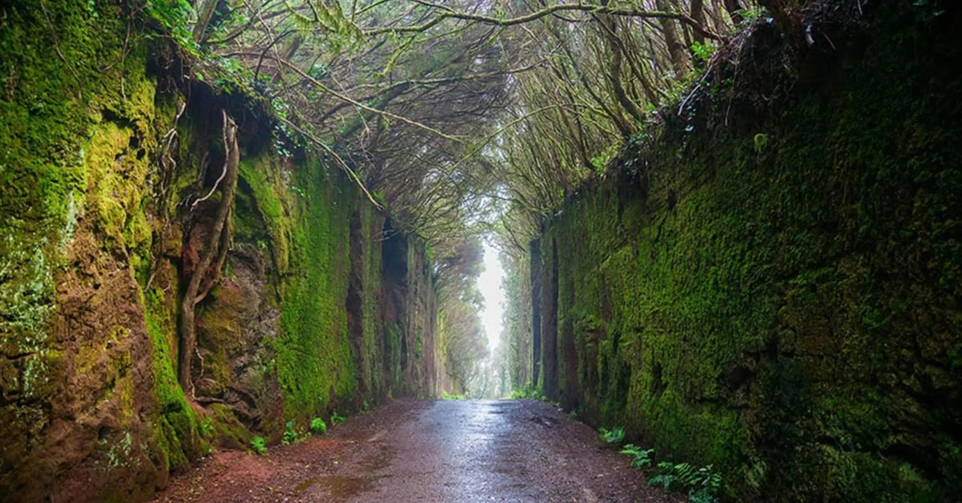Marina Secreta Διαμέρισμα Bajamar